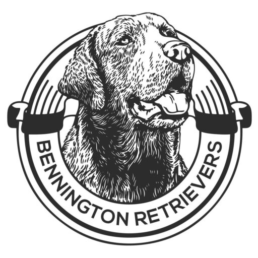 Bennington Retrievers